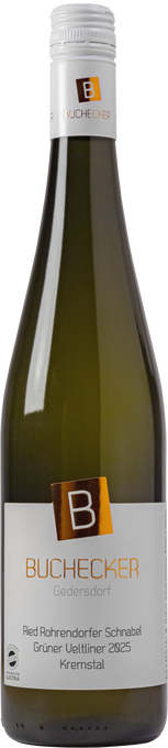 Grüner Veltliner Ried Schnabel 2025 Kremstal DAC