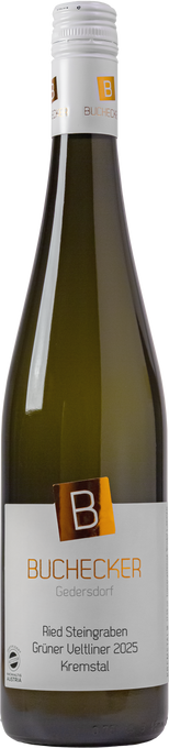 Grüner Veltliner Ried Steingraben 2025 KREMSTAL DAC